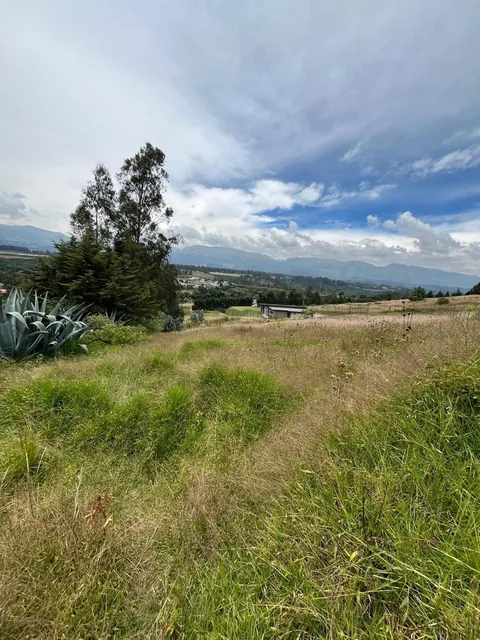 Terrenos de Venta en Tumbaco, Via La Merced — imagen 3