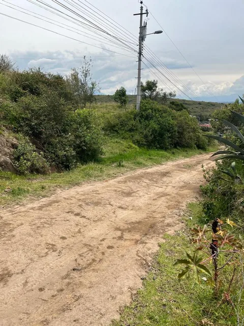 Terrenos de Venta en Tumbaco, Via La Merced — imagen 2