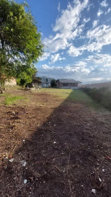 Oportunidad Vendo Terreno - Quinnta 5000 m² Tumbaco — imagen 4