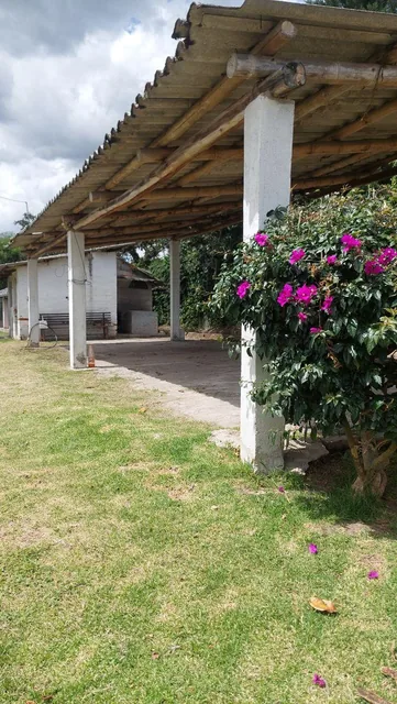 Oportunidad Vendo Terreno - Quinnta 5000 m² Tumbaco — imagen 2