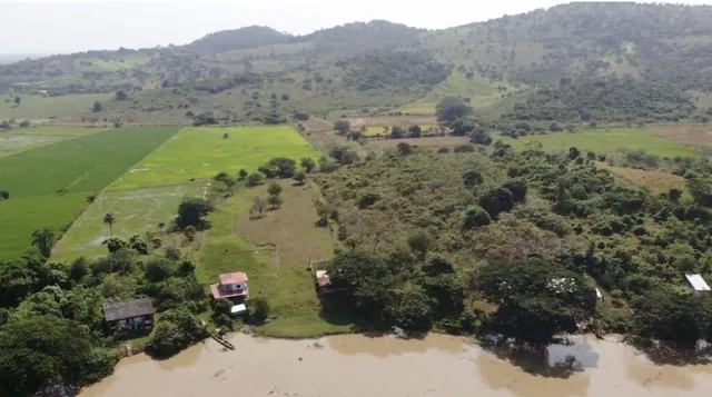 Venta Terreno Agrícola Daule - A. Maidana, Guayas — imagen 5