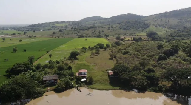 Venta Terreno Agrícola Daule - A. Maidana, Guayas — imagen 4
