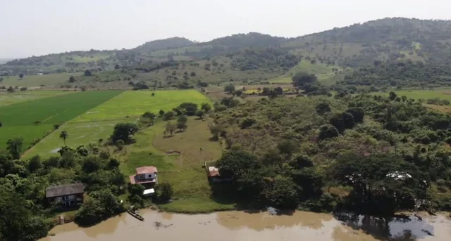 Venta Terreno Agrícola Daule - A. Maidana, Guayas — imagen 3