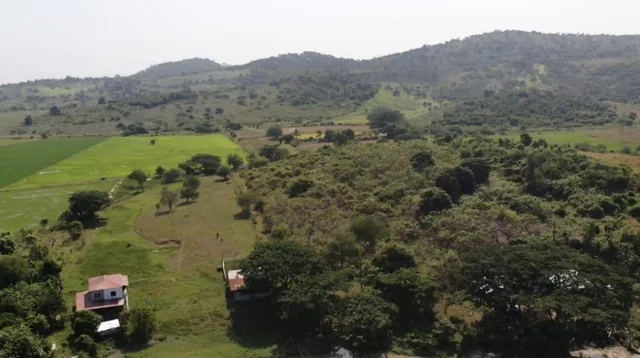 Venta Terreno Agrícola Daule - A. Maidana, Guayas — imagen 2