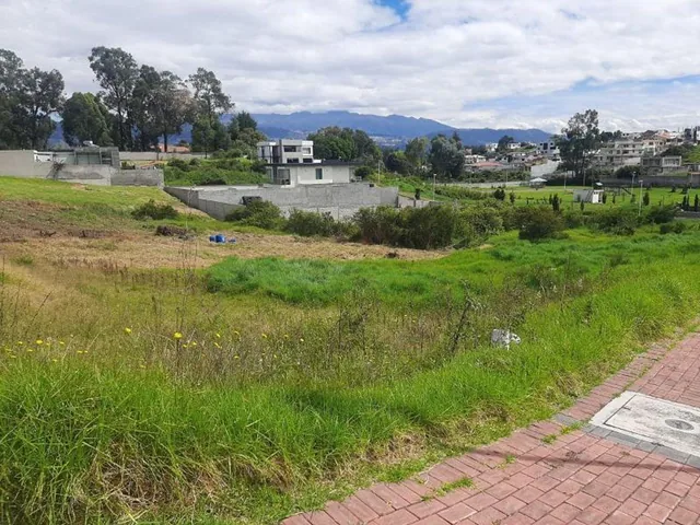 Terreno en Venta Urbanización Navarra II Valle de Los Chillos — imagen 5