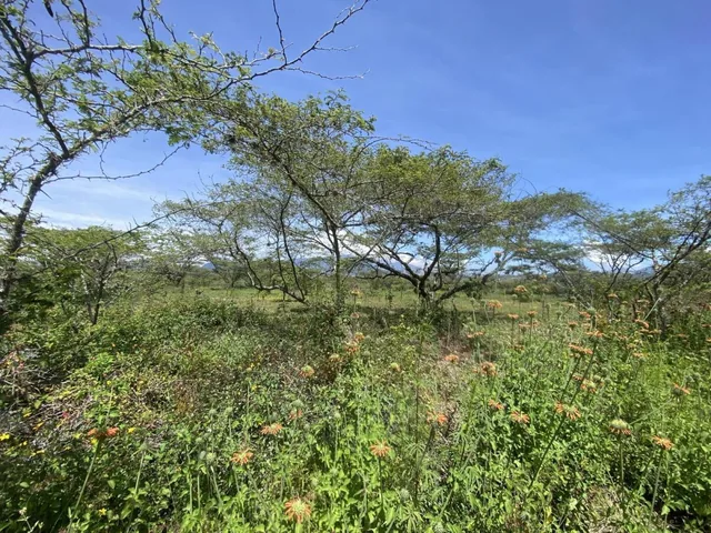 Terreno de Venta en Puembo. Sector Nápoles, Amplia Plusvalía. Todavía Excelente Precio — imagen 2
