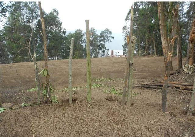 Vendo Terreno 4.661 m² Sector Colegio Terranova (Cm) — imagen 5