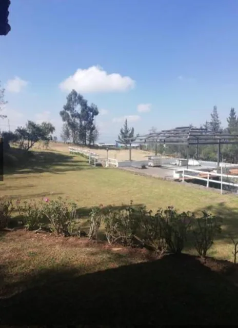 Terreno en Pifo — imagen 2
