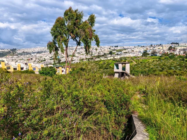 Gran Oportunidad de Inversión en Terreno de 12.220 m² en Av Simón Bolívar — imagen 4