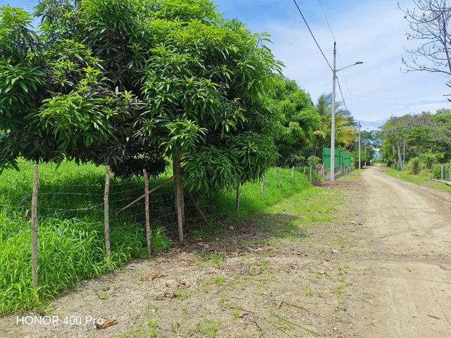 Vendo Lindo Terreno de 2000 m en Jama, Manabi, Manabí — imagen 4