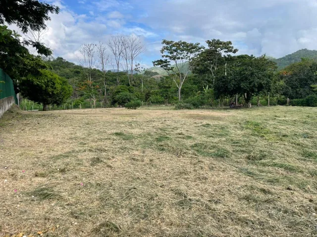 Vendo Lindo Terreno de 2000 m en Jama, Manabi, Manabí — imagen 2