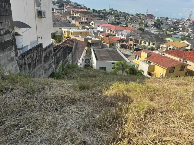 Venta de Terreno en Ceibos Norte (Gwong), Guayas — imagen 2