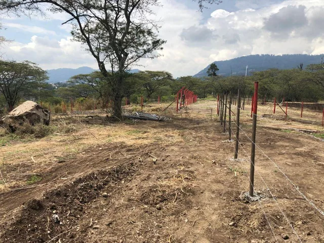 Terreno de Venta en Urb Montearomo 1002 m² — imagen 3