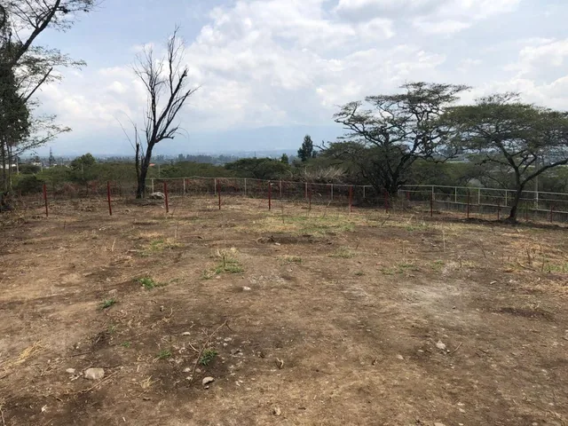 Terreno de Venta en Urb Montearomo 1002 m² — imagen 2