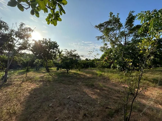 Terreno de 2000 m² en Venta en Fincas Colinas del Pacifico Lago Azul, Guayas — imagen 3