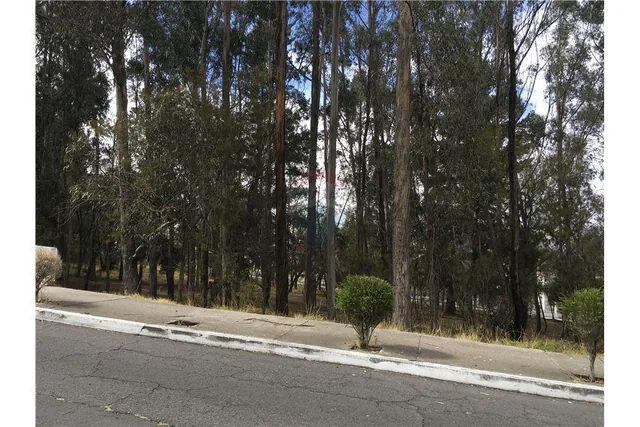 Vendo Excelente Terreno 980 m² Urbanizacion El Condado — imagen 5