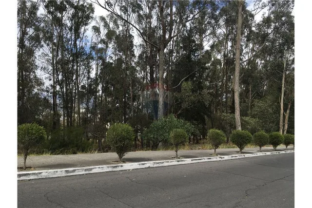 Vendo Excelente Terreno 980 m² Urbanizacion El Condado — imagen 4