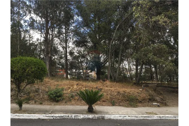 Vendo Excelente Terreno 980 m² Urbanizacion El Condado — imagen 3