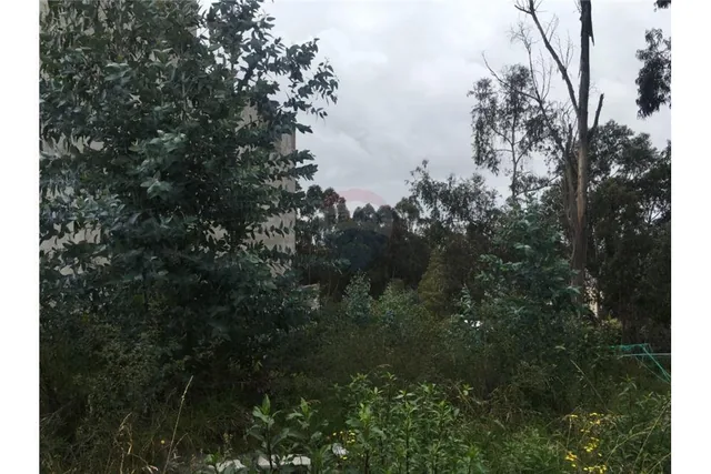 Vendo Excelente Terreno 980 m² Urbanizacion El Condado — imagen 2