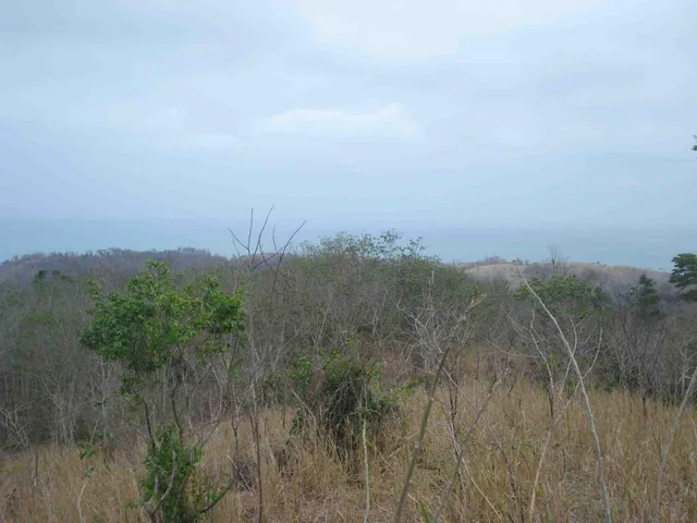 Venta de Propiedad Localizada en La Via Esmeraldas — imagen 2