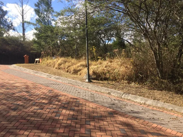 Espectacular Terreno Ubicado Dentro de Viña del Río Parte Alta — imagen 2