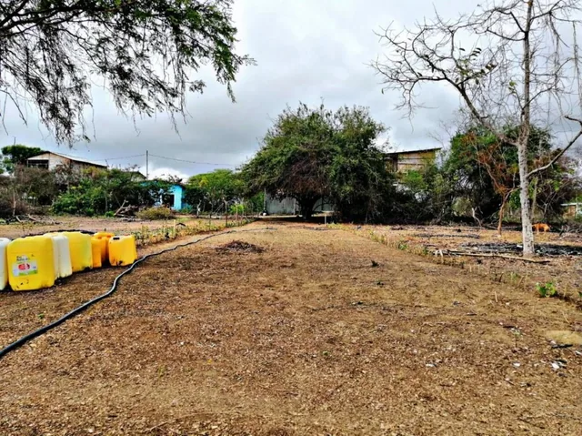 Venta Terreno 10.374,4 m² Manglaralto a 3 Minutos de Montañita — imagen 3
