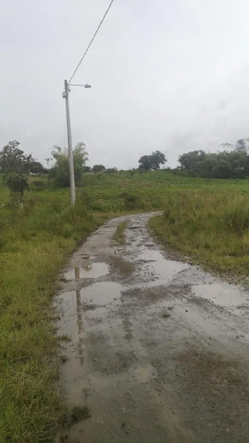 Vendo Terreno en Borja - 2 Hc San Jose, Napo — imagen 3