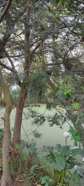 Excelente Terreno Plano en pifo¡Alta Plusvalía — imagen 2