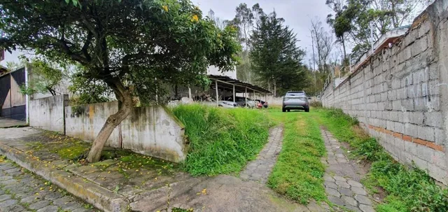 Se Vende Terreno Sector Bellavista Alto - Iñaquito — imagen 3