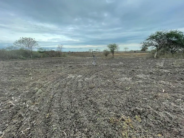 Se Vende Terreno en Km.18 Via Data Psorja, Guayas — imagen 5
