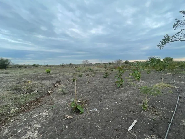 Se Vende Terreno en Km.18 Via Data Psorja, Guayas — imagen 3