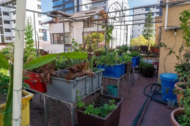 Departamento de Tres Habitaciones en Venta en El Sector de La Carolina — imagen 2
