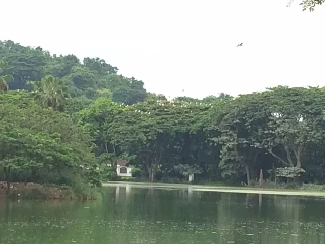 Se Vende Terreno de 399 m² en Urb El Lago de Capeira, Guayaquil, Guayas — imagen 2