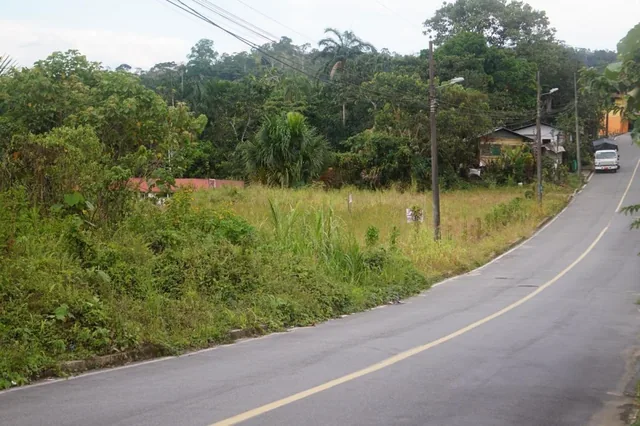 Tena - Vendo Terreno - Sector Rio Tena - Las Yerbitas, Napo — imagen 4
