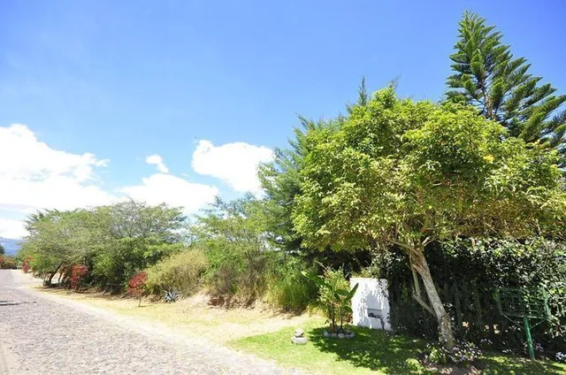 Terreno Venta Puembo, 5 Hectáreas — imagen 5