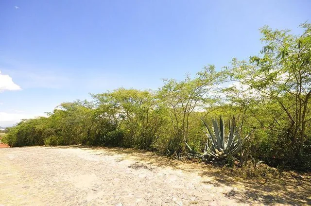 Terreno Venta Puembo, 5 Hectáreas — imagen 4