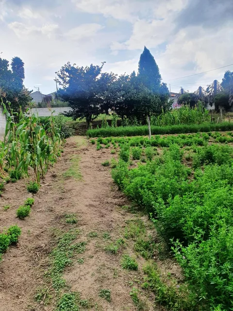 Terreno en Venta en Tumbaco Sector El Carrizal — imagen 5