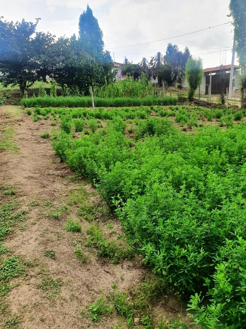 Terreno en Venta en Tumbaco Sector El Carrizal — imagen 2