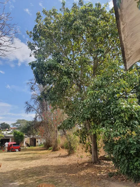 "Terreno en Venta en Derechos y Acciones en Collaquí, Tumbaco - 820 M²" — imagen 3