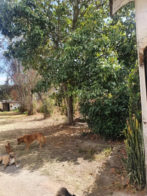 "Terreno en Venta en Derechos y Acciones en Collaquí, Tumbaco - 820 M²" — imagen 2