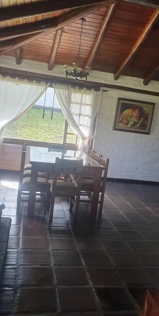 Propiedad en Venta - 10.000 m² (1has) - Sector Puembo — imagen 5
