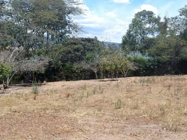 Se Vende Terreno 6 Mil m Construccion Obra Gris Sector Tumbaco — imagen 5