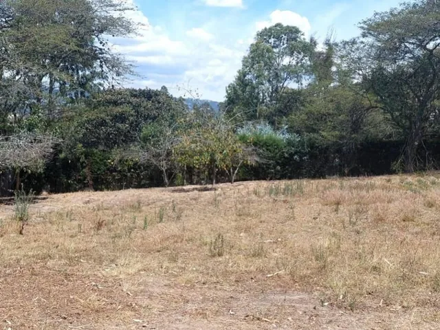 Se Vende Terreno 6 Mil m Construccion Obra Gris Sector Tumbaco — imagen 3