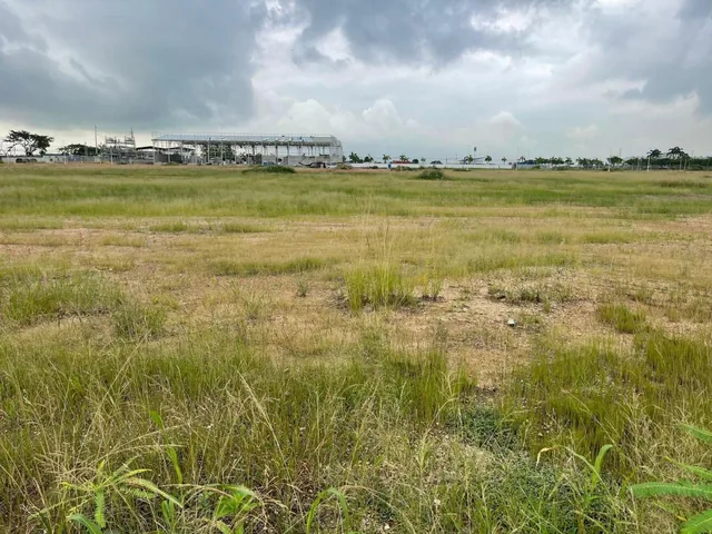 Vendo Terreno Piady, Sector Duran, 5000 m², Excelente Ubicacion, Guayas — imagen 4