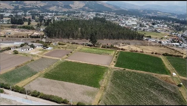 Para Inversionista Tengo en Venta 4.9 Hectáreas - Sector Tababela - Vergel Bajo — imagen 4