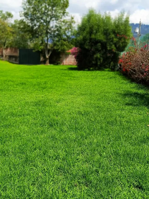 Hermoso Terreno de 2.000 m² Vía a Pillagua — imagen 5