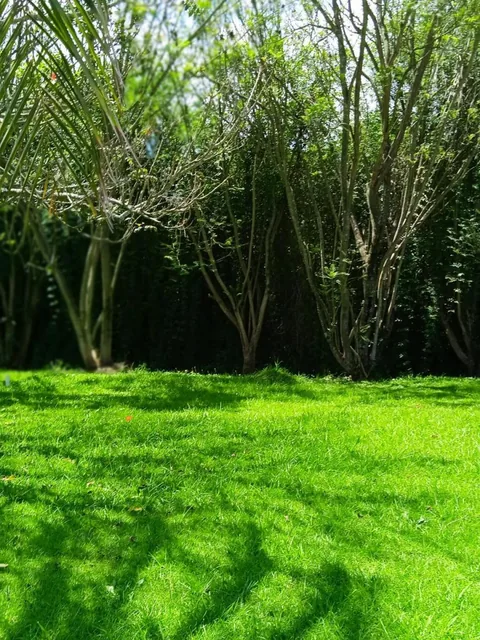 Hermoso Terreno de 2.000 m² Vía a Pillagua — imagen 2