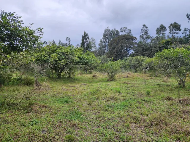 Para Constructores Vendo Terreno en Puembo 20.990 Mtrs Cos Pb 50% Cos Total 100% — imagen 3