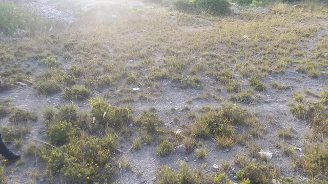 Venta Terreno en La Mitad del Mundo — imagen 5