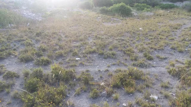 Venta Terreno en La Mitad del Mundo — imagen 2